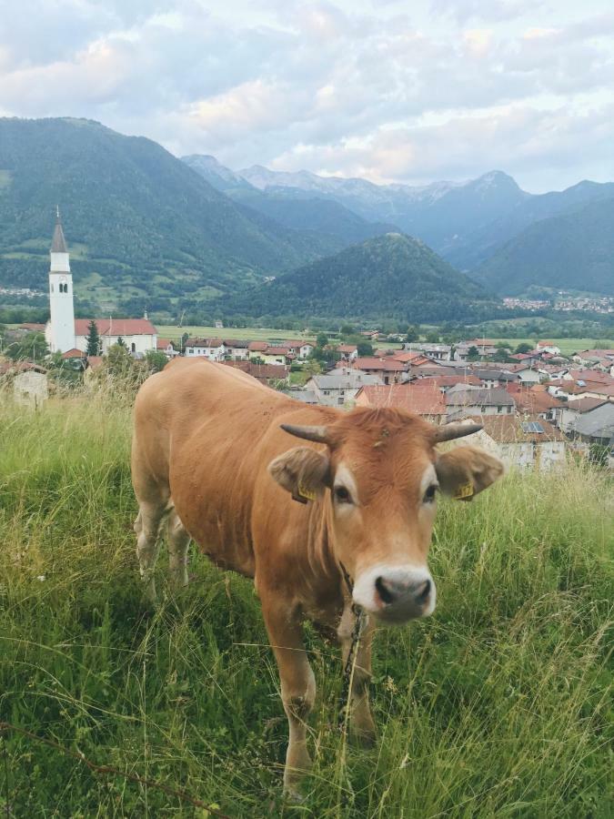Hisa Bubi Daire Tolmin Dış mekan fotoğraf